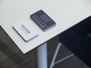 Aliade Offices by Vitale