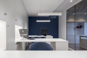 Aliade Offices by Vitale