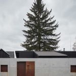 House Behind the Wall by Mjölk architects