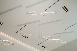 The Queen by Alex Sandulescu