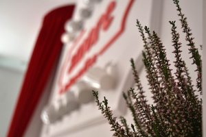 Amore Coffee Shop by Vitale