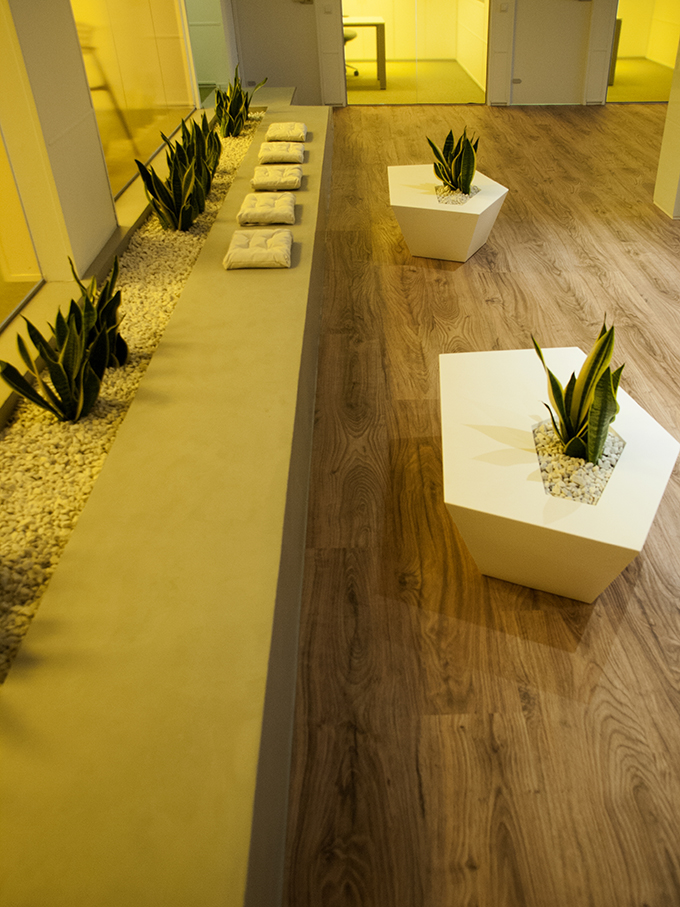 Codiagro Offices by Vitale
