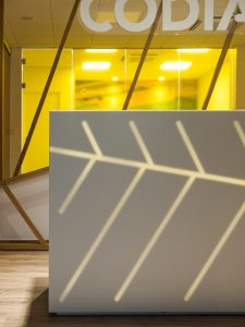 Codiagro Offices by Vitale