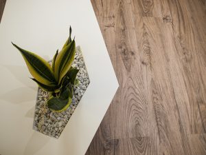 Codiagro Offices by Vitale