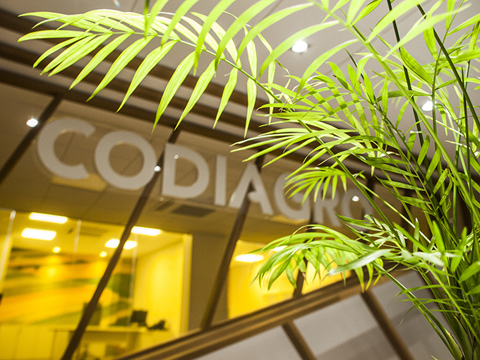 Codiagro Offices by Vitale