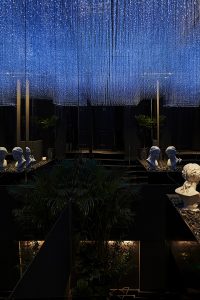 AROMA DREAM by DDDD Creative Studio