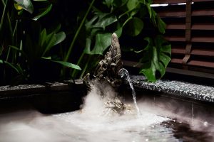 AROMA DREAM by DDDD Creative Studio