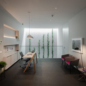 FACOL Offices designed by Ana Coelho Arq