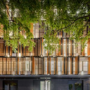 Lisbon Wood by Plano Humano