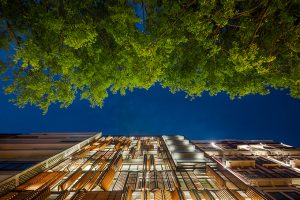 Lisbon Wood by Plano Humano