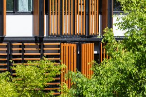 Lisbon Wood by Plano Humano