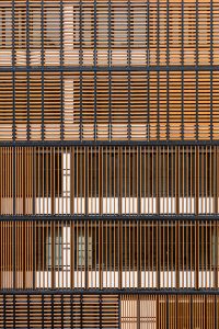 Lisbon Wood by Plano Humano