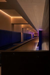 MORPH by Various Associates