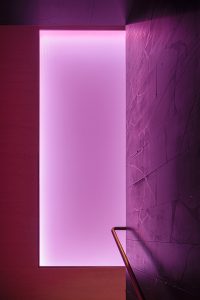 MORPH by Various Associates