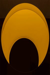 MORPH by Various Associates