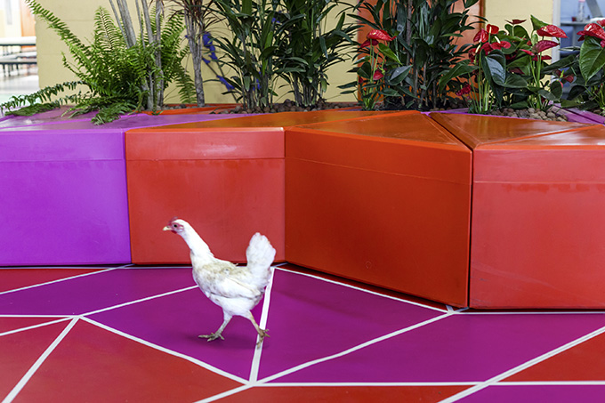 Espaço Urban Regeneration Project by Piuarch