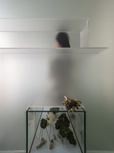 Exhibition of Frozen Time by Waterfrom Design