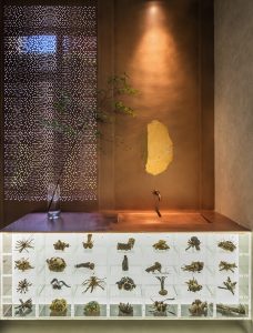 Exhibition of Frozen Time by Waterfrom Design