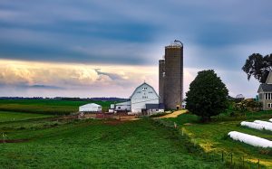 Five Practical Tips for Expanding Your Farm