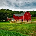 Five Practical Tips for Expanding Your Farm