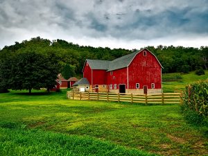 Five Practical Tips for Expanding Your Farm