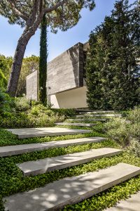 Le Pine by SAOTA