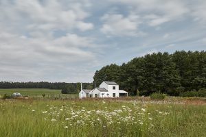 Summer House by DDAANN