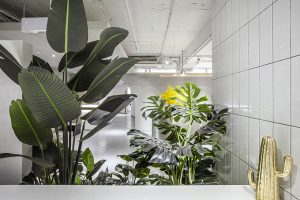 YUAN • Space by Towodesign