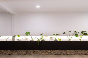 Casa 40 by Quaranta & Coraglio Arquitectos