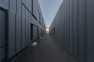 FARMVILLE by AND-RÉ