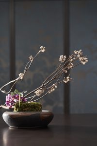 FBBD Jewelry Shop by Ris Interior Design