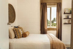 Discover the World’s First 3D-printed Neighborhood in Southern Mexico