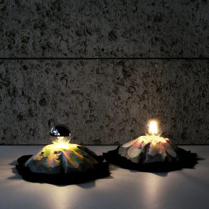 Fjall by Taeg Nishimoto