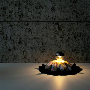 Fjall by Taeg Nishimoto