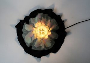 Fjall by Taeg Nishimoto