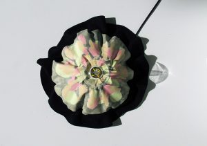 Fjall by Taeg Nishimoto