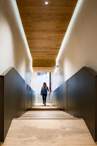 Fondation-s by Lobjoy-Bouvier-Boisseau Architecture