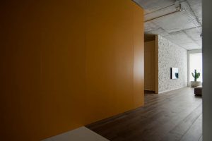 Polotno Apartment by Sergey Makhno Architects