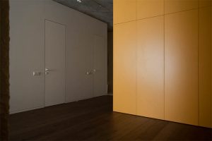 Polotno Apartment by Sergey Makhno Architects