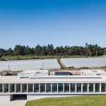 Canine & Feline Hotel by Raulino Silva Arquitecto