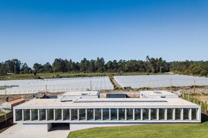 Canine & Feline Hotel by Raulino Silva Arquitecto