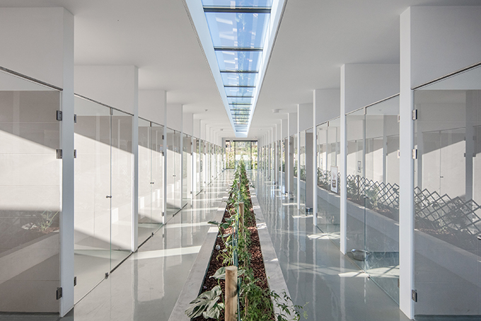 Canine & Feline Hotel by Raulino Silva Arquitecto
