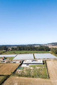 Canine & Feline Hotel by Raulino Silva Arquitecto