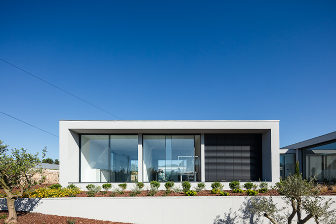 Canine & Feline Hotel by Raulino Silva Arquitecto