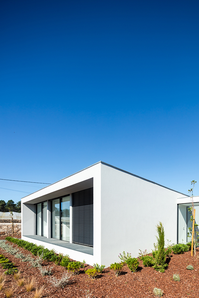 Canine & Feline Hotel by Raulino Silva Arquitecto