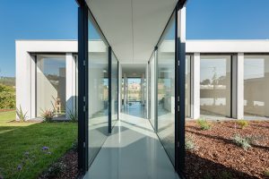 Canine & Feline Hotel by Raulino Silva Arquitecto