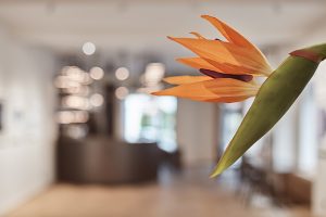 GaP / Gallery and Space by ORA