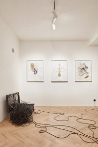 GaP / Gallery and Space by ORA