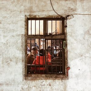 Heytea at Longfor Paradise Walk in Chongqing by Shenzhen Super Normal Design