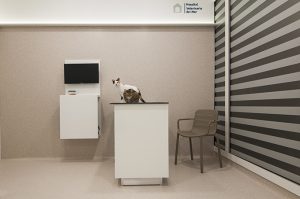 Hospital Veterinario del Mar by Vitale